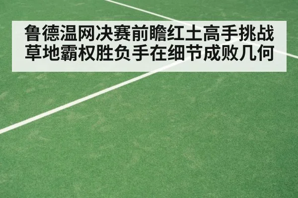 鲁德温网决赛前瞻红土高手挑战草地霸权胜负手在细节成败几何